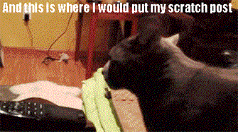 66oQ6oB_zpsfdd39f7b.gif