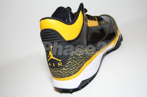 This particular pair DOES have the Air Jordan logo on the heel tab and the