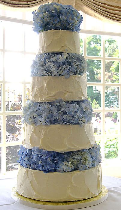 The Wedding Cake Pictures, Images and Photos