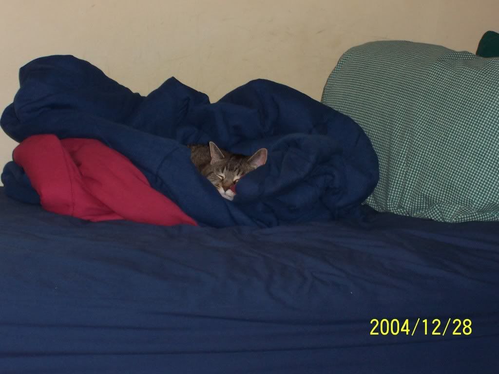 photo 000_0110.jpg