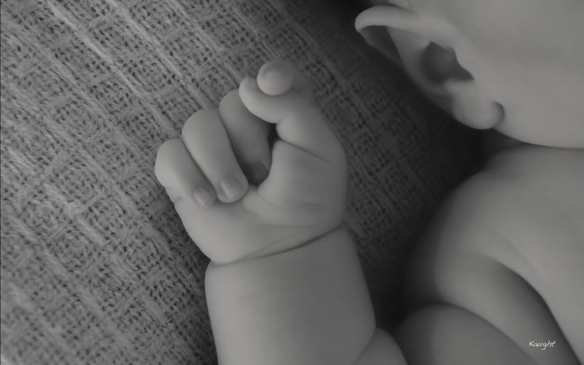 IMAGE: http://i1132.photobucket.com/albums/m565/kaughtphotography/DSC_0103.jpg