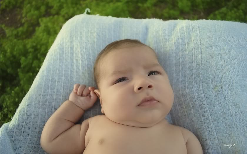 IMAGE: http://i1132.photobucket.com/albums/m565/kaughtphotography/DSC_0106.jpg