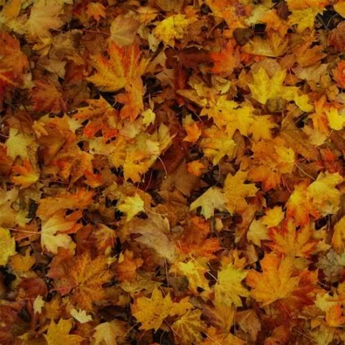 Childish Gambino - EP (2011)