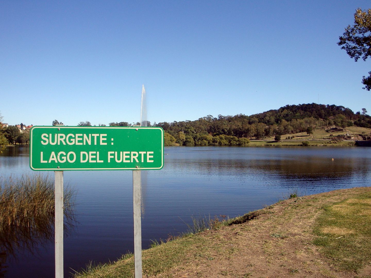 El Gigante Caído El Gigante Caído