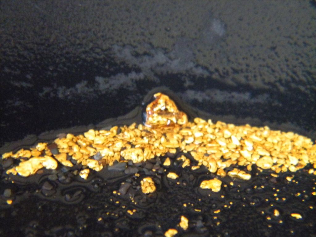 Alluvial Gold