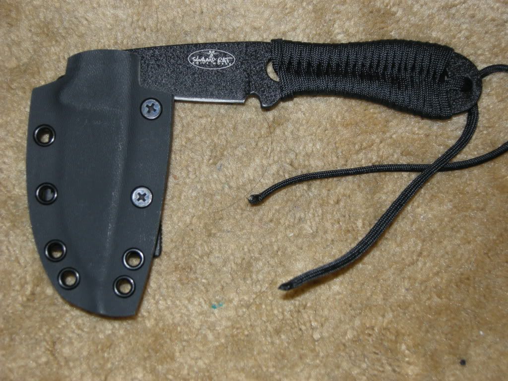 [Linked Image from i1132.photobucket.com]