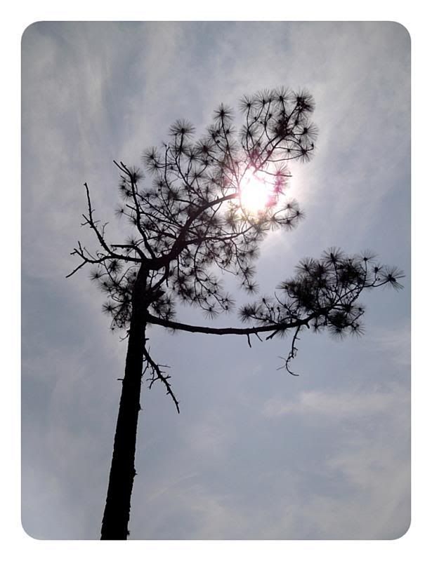 +++++ First time @Phukradung +++++