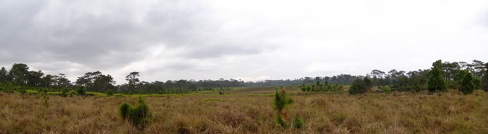 +++++ First time @Phukradung +++++
