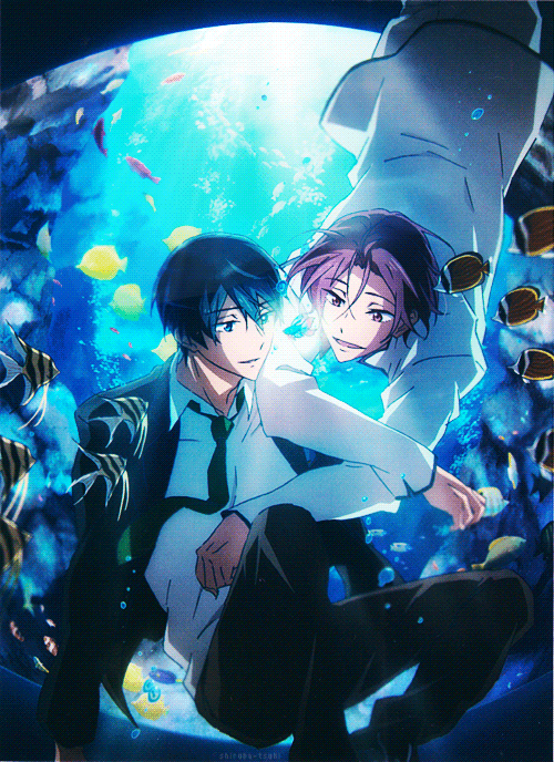 http://i1132.photobucket.com/albums/m573/KiraYamato4444/tumblr_nld29xLSKT1tyk5ffo1_r8_500_zpswdcgj3lr.gif