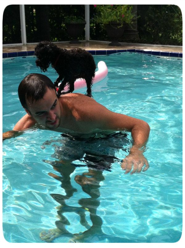 bobbisurf