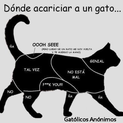 [Imagen: zonasacariciargatoeli_zps7a1de735.jpg]