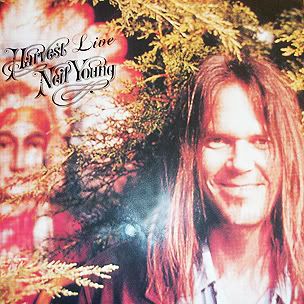 Young Neil - Harvest Live