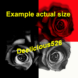  photo gothic roses 2 sticker example.png
