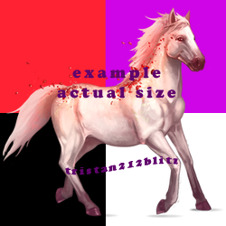  photo redhorsestickerexample.png