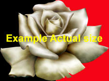  photo white gothic rose sticker example.png