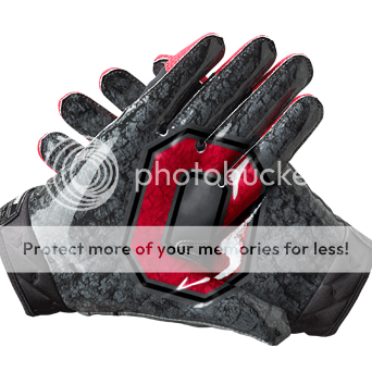 Nike Vapor Carbon Premium Rivalry Gloves OSU Ohio State Buckeyes L 