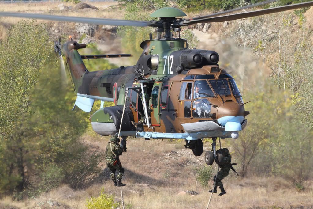 Confined Cougar and Friends - FighterControl