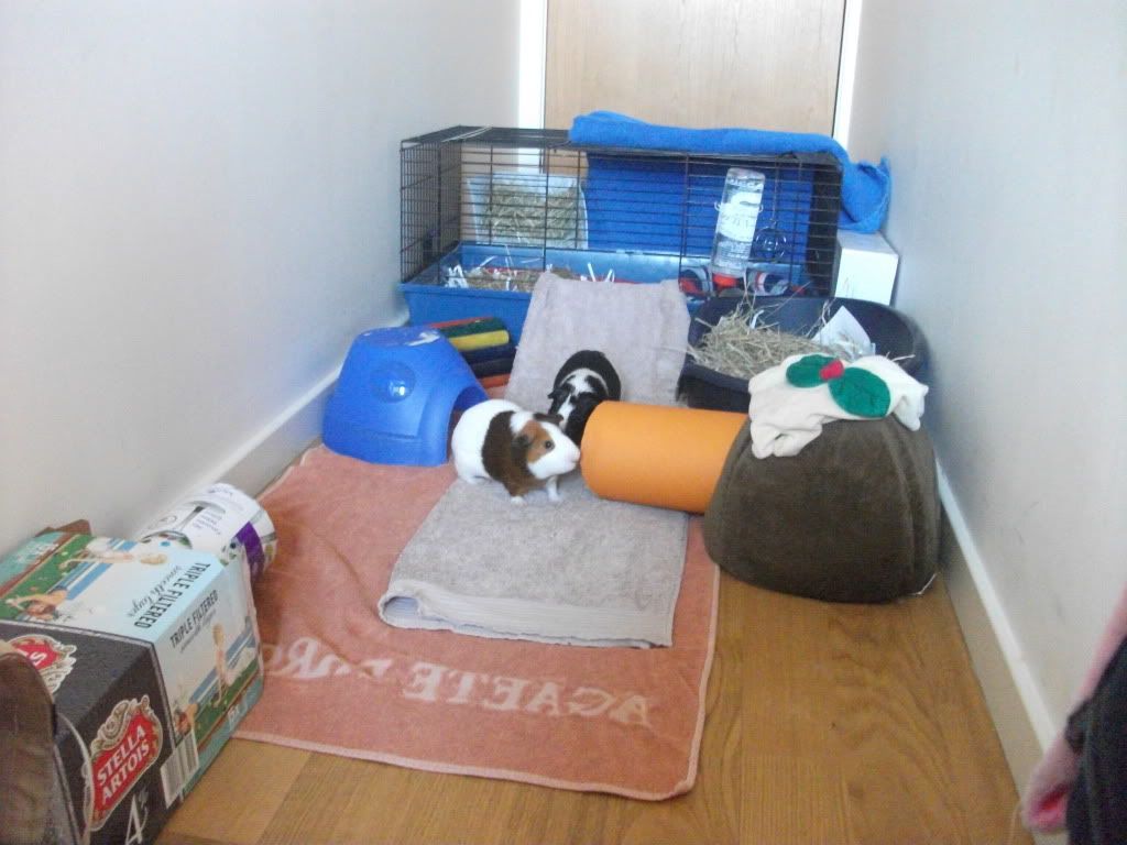 DSCF3647.jpg