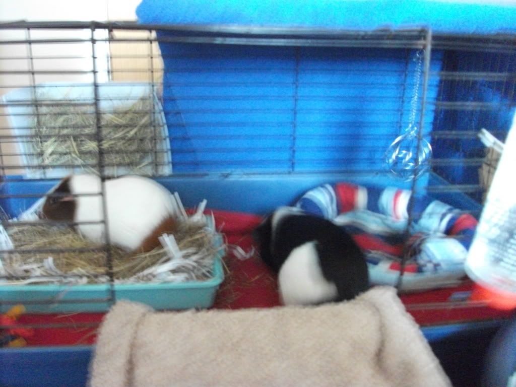 DSCF3656.jpg
