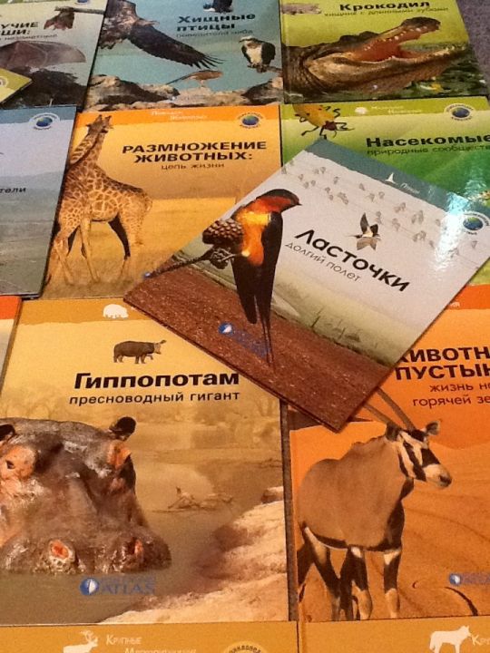 Photobucket Pictures, Images and Photos