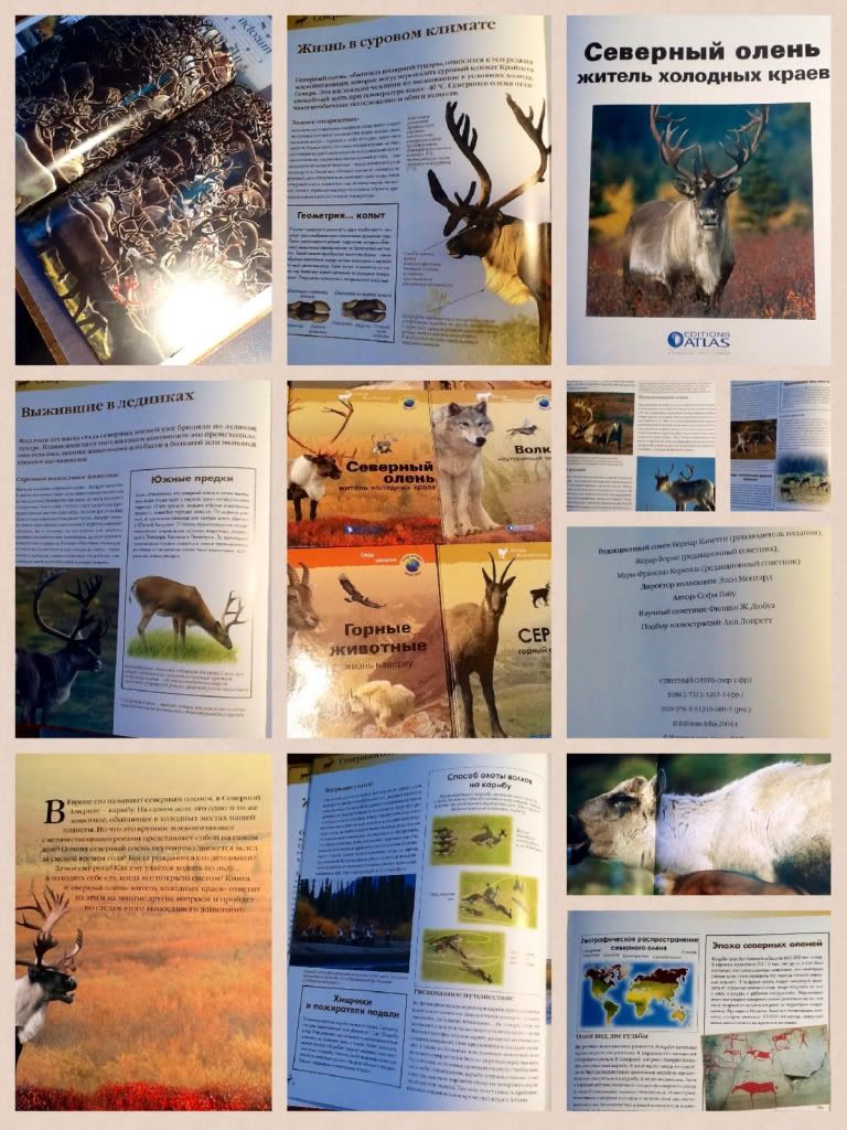 Photobucket Pictures, Images and Photos