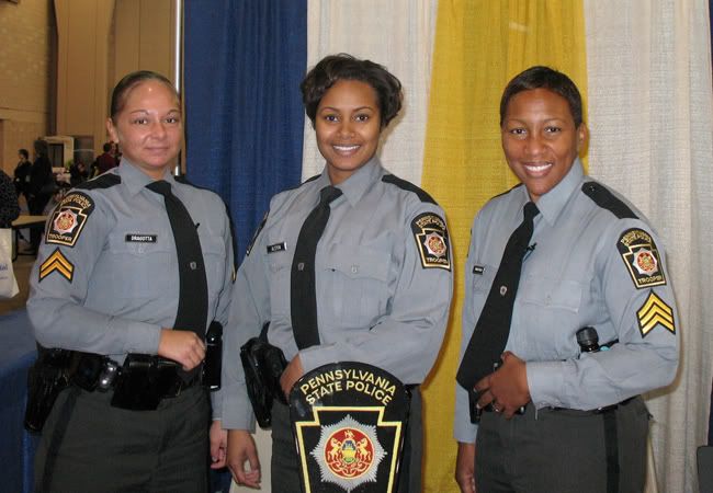 Diversity law enforcement essay